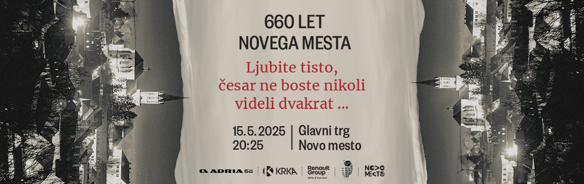 vstopna slika