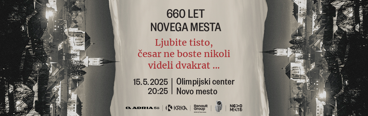 vstopna slika