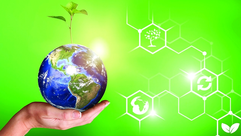 woman-holding-green-plant-planet-earth-environment-protection-concept.jpg