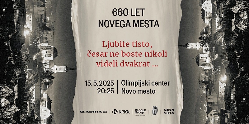 vodilna slika