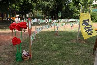 178A0025.JPG