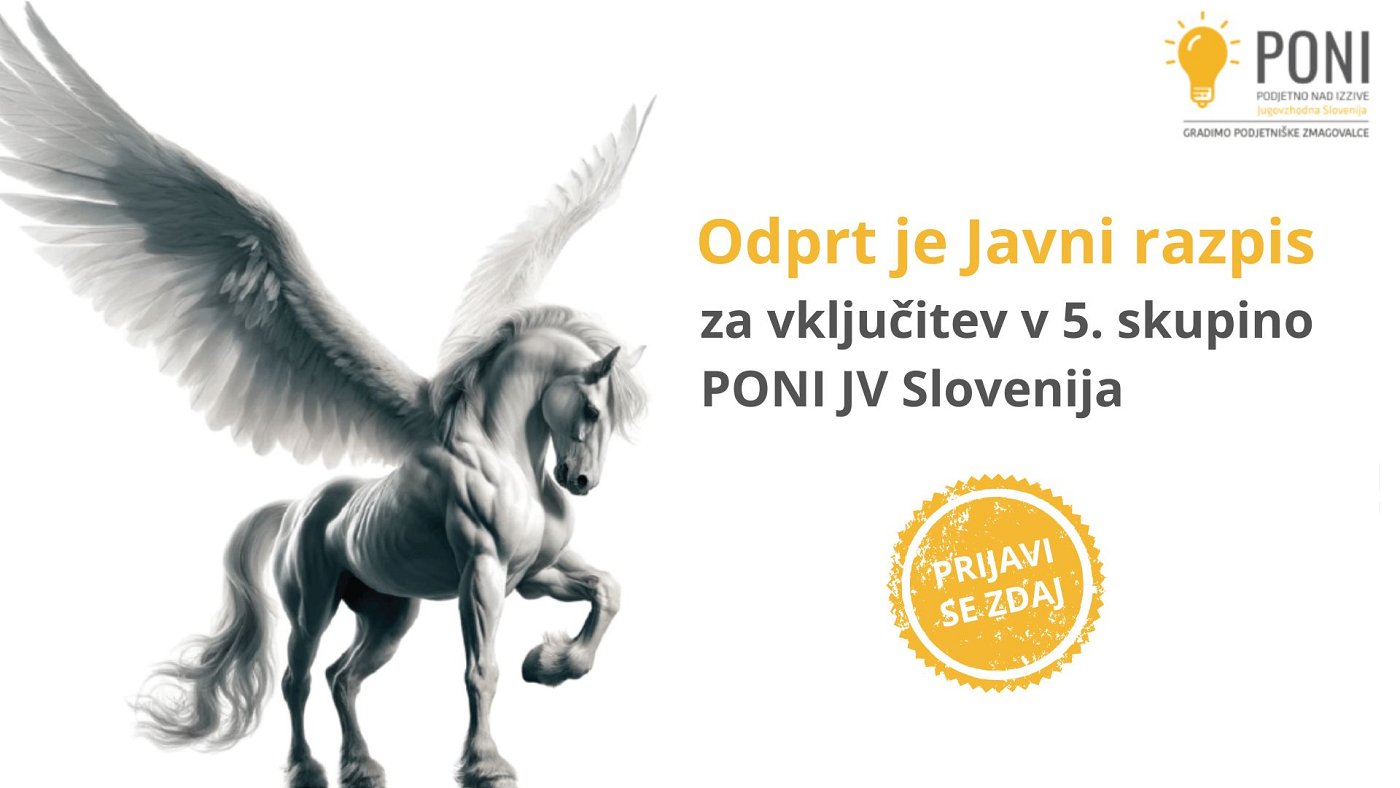 Projekt PONI grafika