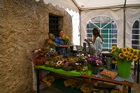 DSC_4937.jpg
