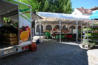 DSC_4943.jpg