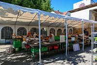 DSC_4941.jpg