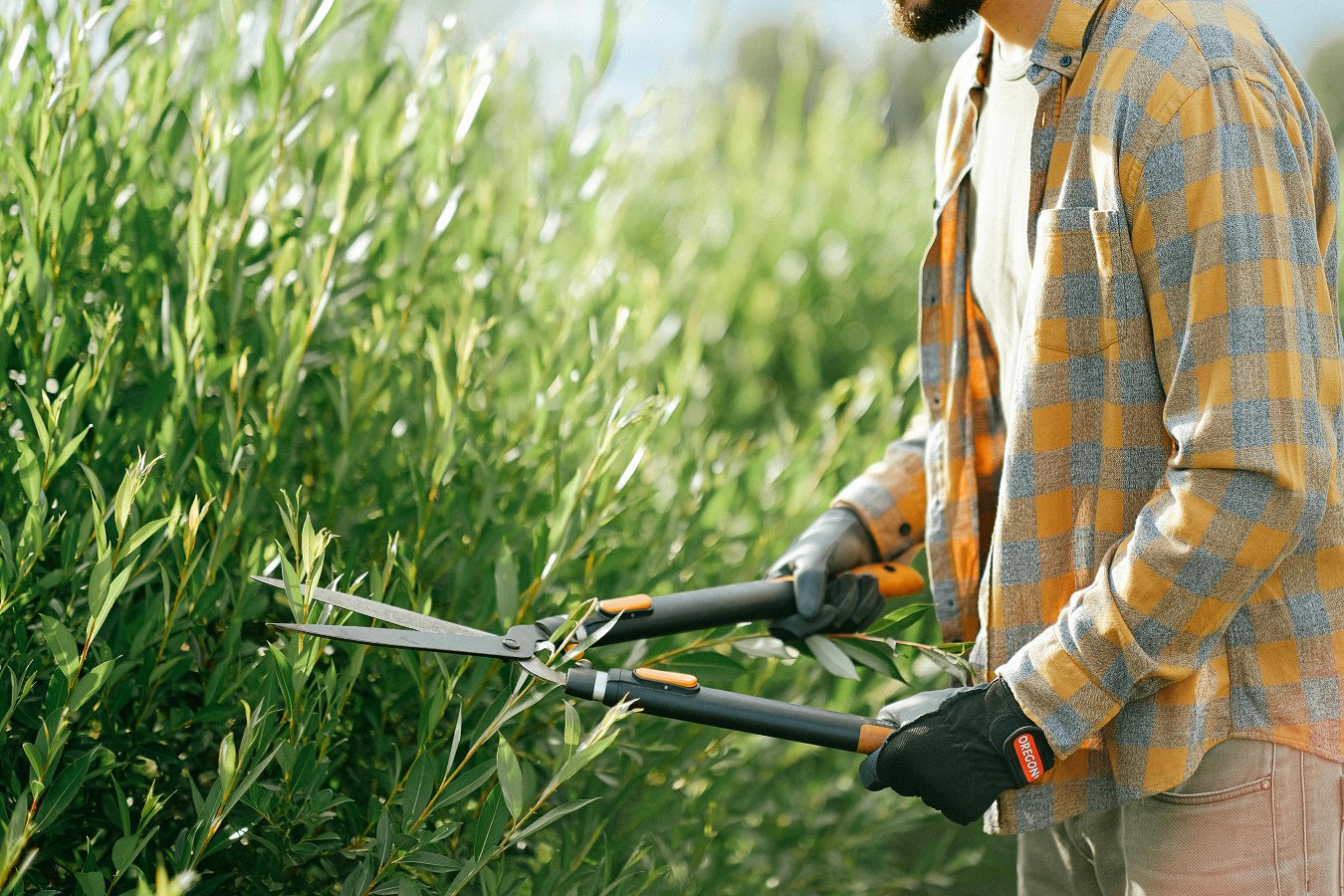 rezanje žive meje Vzdrževanje vegetacije ob občinskih cestah