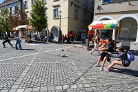 DSC_8395.jpg