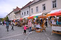 FOTO-ASJA-MONM_057.jpg