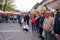 FOTO-ASJA-MONM_069.jpg