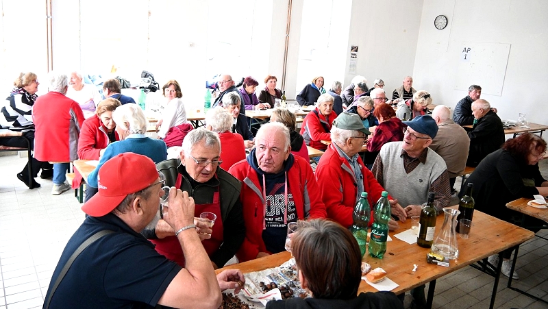  Tradicionalni kostanjev piknik DU Prečna