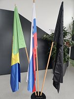 Občina Mirna Peč.jpg