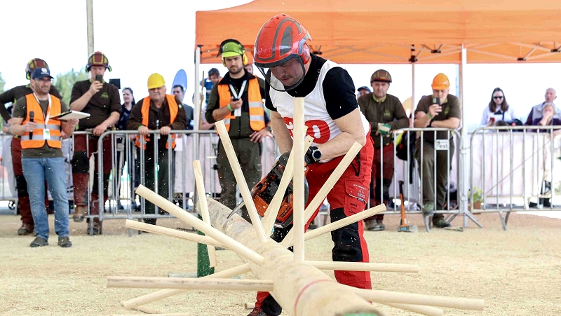  Svetovno gozdarsko prvenstvo 2026 