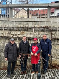 skupinska fotografija_Obrezovanje mestne trte.jpg