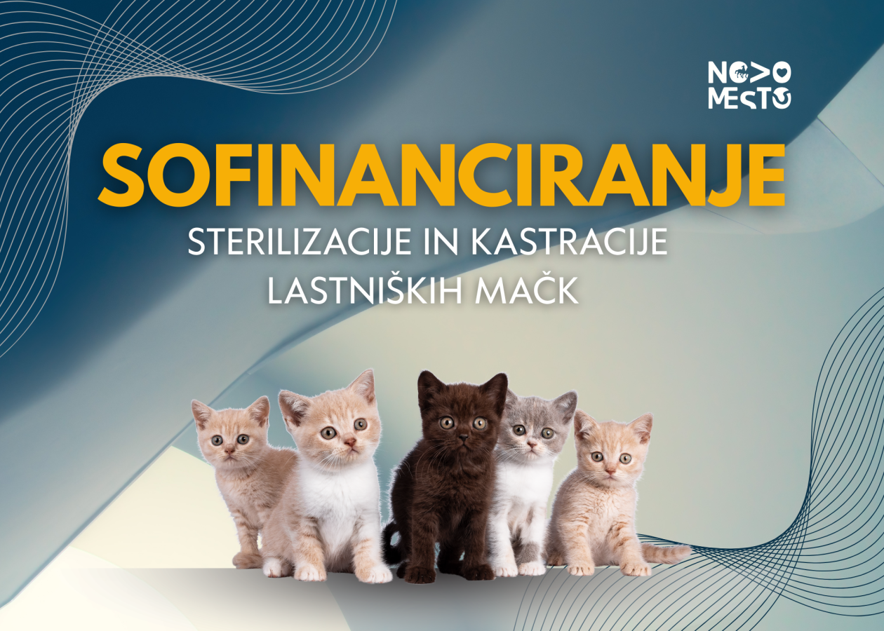 Na fotografiji je plakat s promocijo sofinanciranja kastracije in sterilizacije lastniških mačk Na voljo še nekaj bonov za sofinanciranje sterilizacije in kastracije lastniških mačk 