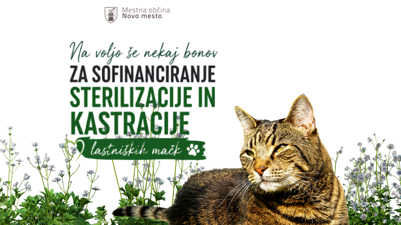 Na fotografiji je plakaz ta bone za sofinanciranje kastracije in sterilizacije mačk Sofinanciranje sterilizacije in kastracije lastniških mačk 