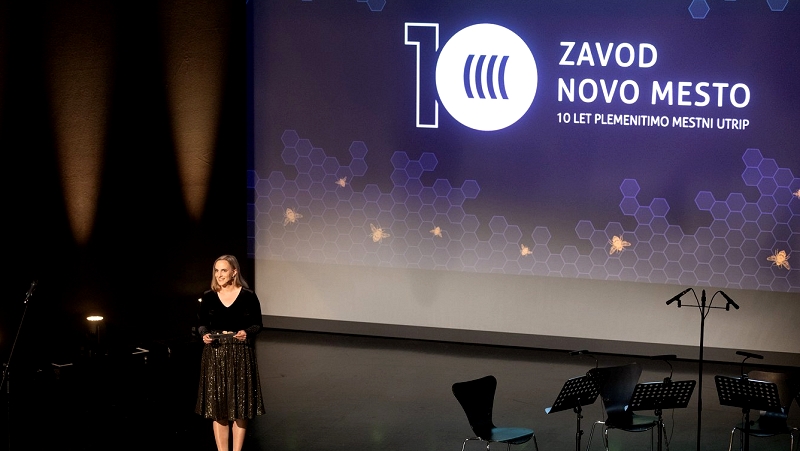  10 let Zavoda Novo mesto